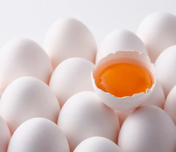 ডিমের কুসুম শিশুর জন্য নিরাপদ তো? (Is Egg Yolk Safe for Babies?)